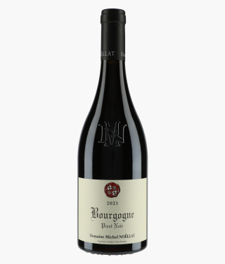 Bourgogne Pinot Noir