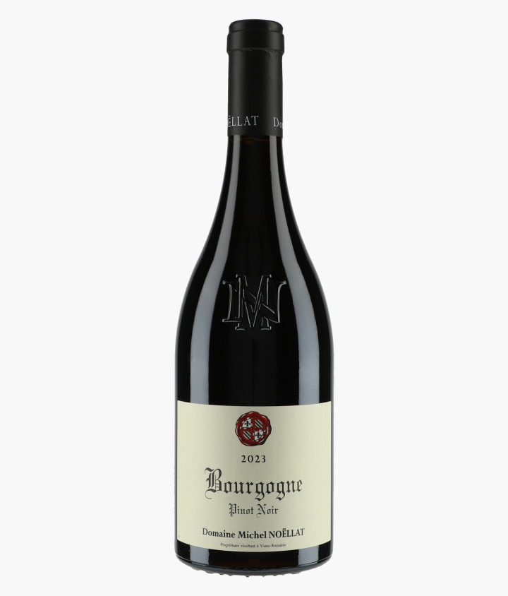 NOELLAT MICHEL | Bourgogne Pinot Noir 2023