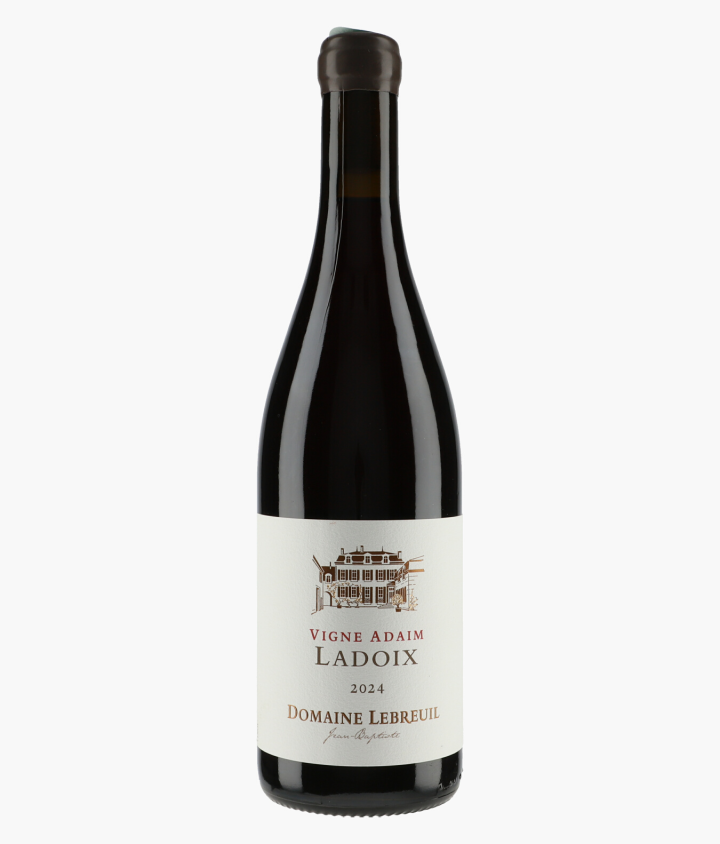 LEBREUIL PIERRE & J-B | Ladoix Vigne Adaim 2024