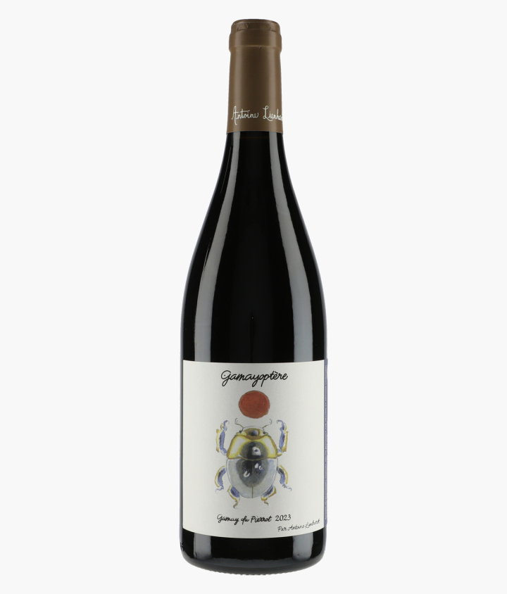 LIENHARDT ANTOINE | Côteaux Bourguignons Gamayoptère Gamay du Pierrot 2023