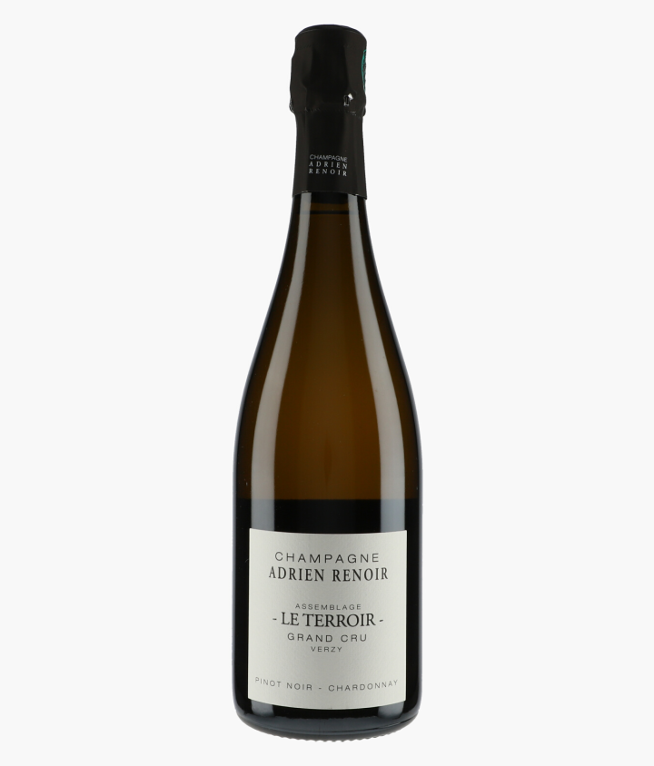 RENOIR ADRIEN | Champagne Le Terroir Grand Cru Verzy N.V.
