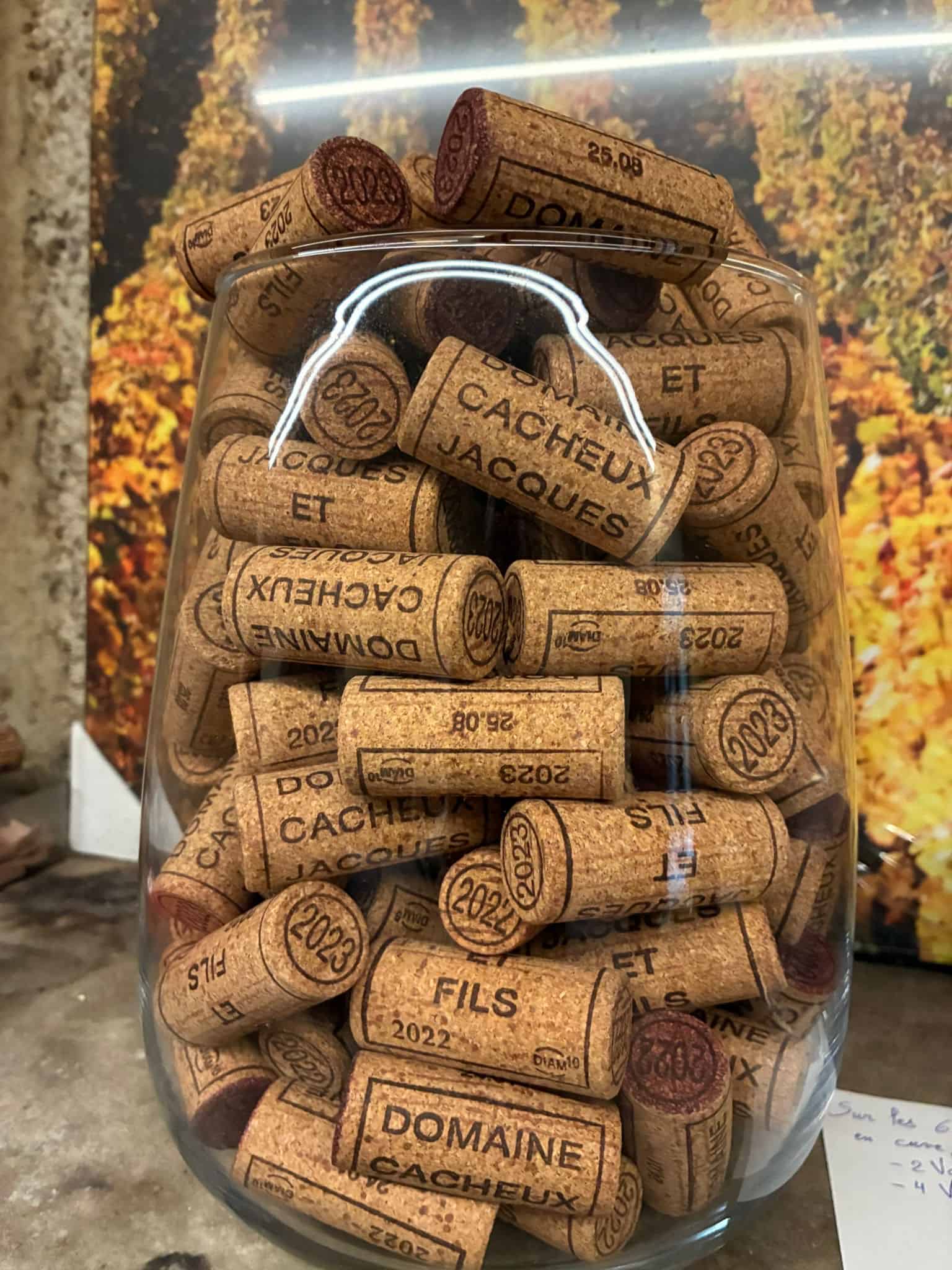 Domaine Jacques Cacheux